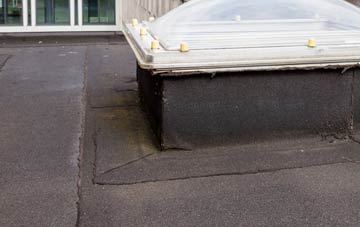 disadvantages of Blackheath Park flat roofs