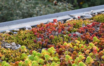 the cost of Blackheath Park green roof installation