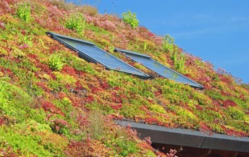 Blackheath Park living roof systems