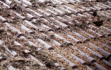 Blackheath Park roof cleaning companies