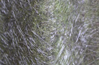 Blackheath Park fibreglass roof work